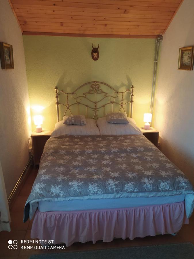 Gdow Riverside Apartments And Tours Εξωτερικό φωτογραφία