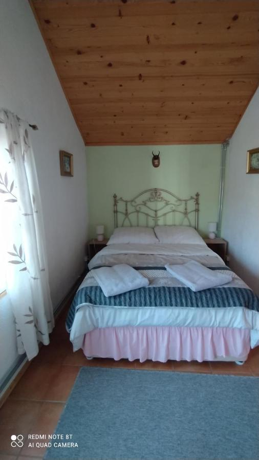 Gdow Riverside Apartments And Tours Εξωτερικό φωτογραφία